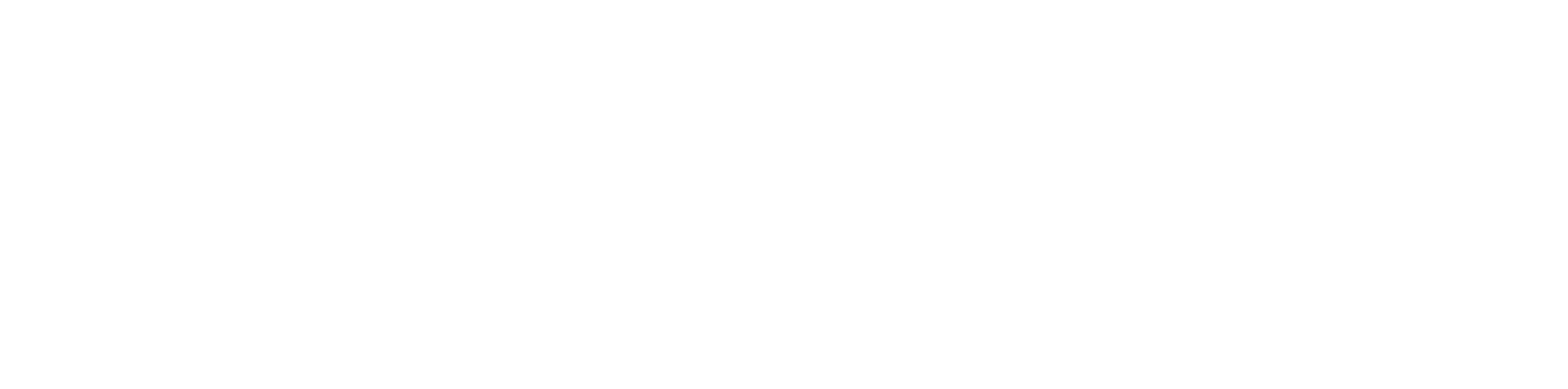 USA Arya & Earth